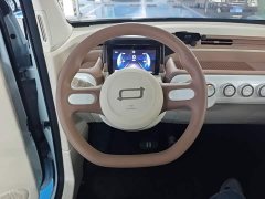 FAW Besturn Xiaoma 2026 222km Shining Edition - ფოტო 11