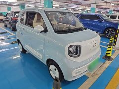 FAW Besturn Xiaoma 2026 222km Shining Edition - ფოტო 4