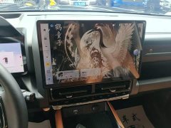 Haval Manlong New Energy Hi4 145 Adventure Edition - ფოტო 13