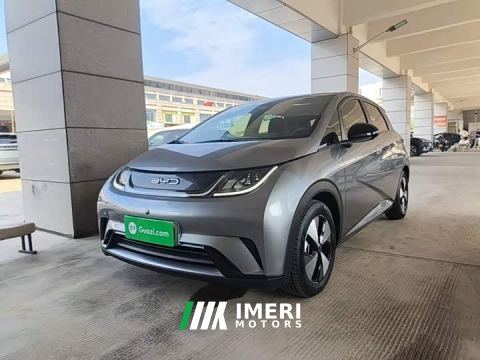 2023 BYD Dolphin 420km Fashion Edition