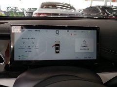 BYD Dolphin 06 DM-i Smart Drive 120KM Deluxe - ფოტო 12