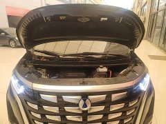 Denza BYD Denza D9 DM-i 970 Luxury - ფოტო 20