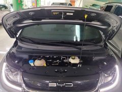 BYD Dolphin 405km Fashion Edition - ფოტო 20