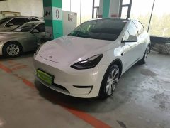Tesla Model Y Long Range All-Wheel Drive 3D7 - ფოტო 1