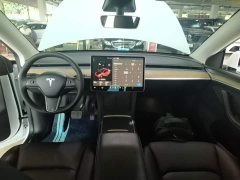 Tesla Model Y Long Range All-Wheel Drive 3D7 - ფოტო 10