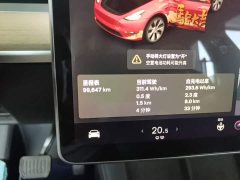 Tesla Model Y Long Range All-Wheel Drive 3D7 - ფოტო 12