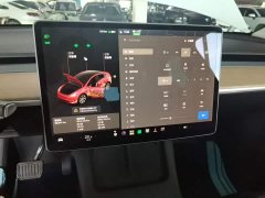 Tesla Model Y Long Range All-Wheel Drive 3D7 - ფოტო 13