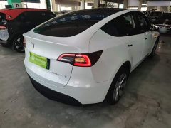 Tesla Model Y Long Range All-Wheel Drive 3D7 - ფოტო 7