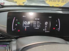 Trumpchi Leopard 2023 270T DCT J15 - ფოტო 12
