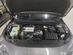 Trumpchi Leopard 2023 270T DCT J15 - ფოტო 20
