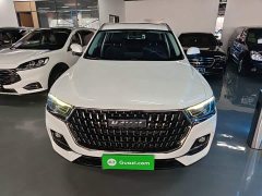 Haval H6 National Trend Edition 1.5T Automatic Urban Version - ფოტო 3