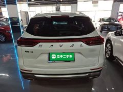 Haval H6 National Trend Edition 1.5T Automatic Urban Version - ფოტო 6