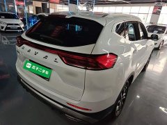 Haval H6 National Trend Edition 1.5T Automatic Urban Version - ფოტო 7