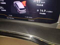 Volkswagen Viloran 2020 330TSI Business Edition - ფოტო 12