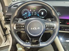 Kia Lion Prat Tuojie 2.0L HEV Two-Wheel Drive Premier Edition - ფოტო 11
