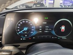 Kia Lion Prat Tuojie 2.0L HEV Two-Wheel Drive Premier Edition - ფოტო 12