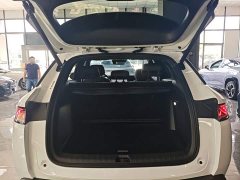 BYD Song L DM-i Smart Drive 160km Excellence - ფოტო 19