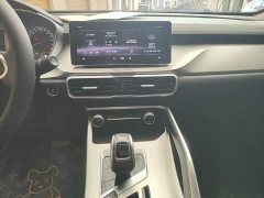 Geely Bingyue 2020 Facelift 240T DCT Hunter - ფოტო 13