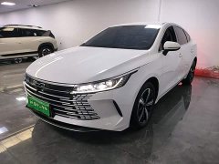 BYD Destroyer 05 Glory Edition DM-i 120KM Luxury - ფოტო 2