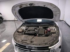 BYD Destroyer 05 Glory Edition DM-i 120KM Luxury - ფოტო 20
