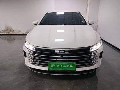 BYD Destroyer 05 Glory Edition DM-i 120KM Luxury - ფოტო 3