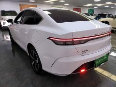 BYD Destroyer 05 Glory Edition DM-i 120KM Luxury - ფოტო 5