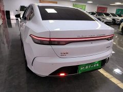 BYD Destroyer 05 Glory Edition DM-i 120KM Luxury - ფოტო 6