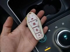 BYD Destroyer 05 Glory Edition DM-i 120KM Luxury - ფოტო 9