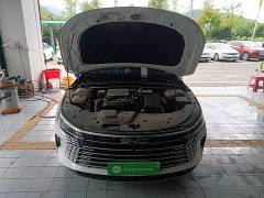 BYD Destroyer 05 Glory Edition DM-i 120KM Luxury - ფოტო 20
