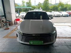 BYD Destroyer 05 Glory Edition DM-i 120KM Luxury - ფოტო 3