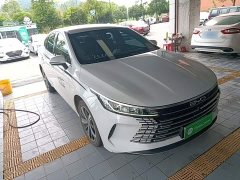 BYD Destroyer 05 Glory Edition DM-i 120KM Luxury - ფოტო 4