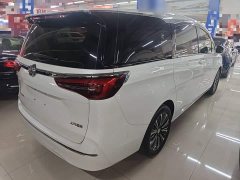 Buick GL8 ES Land Respect 653T Premier - ფოტო 7