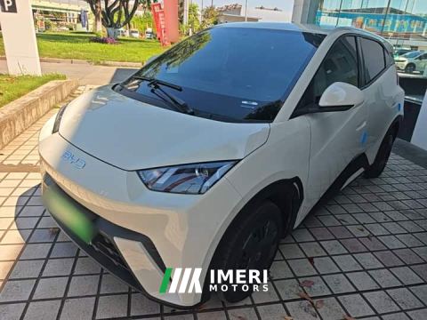 2024 BYD Seagull Glory Edition 305km Vitality Version