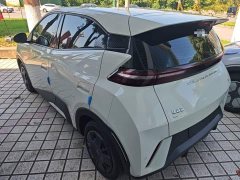 BYD Seagull Glory Edition 305km Vitality Version - ფოტო 5