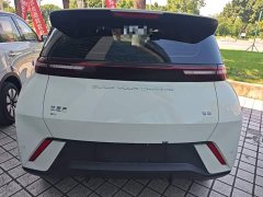 BYD Seagull Glory Edition 305km Vitality Version - ფოტო 6