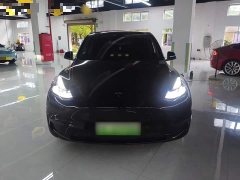 Tesla Model Y Long Range All-Wheel Drive - ფოტო 3