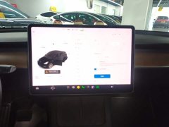 Tesla Model Y Long Range All-Wheel Drive - ფოტო 9