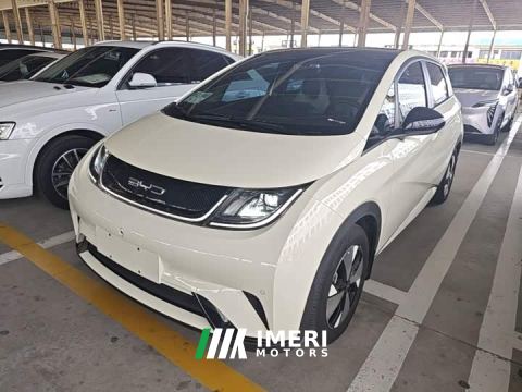 2023 BYD Dolphin 420km Freedom Edition