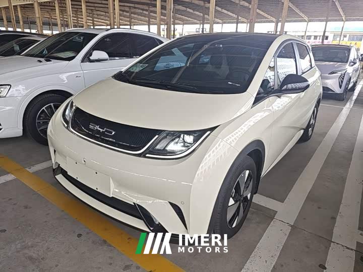 BYD Dolphin 420km Freedom Edition