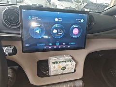 BYD Dolphin 420km Freedom Edition - ფოტო 13
