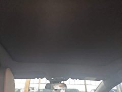 BYD Dolphin 420km Freedom Edition - ფოტო 18