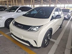 BYD Dolphin 420km Freedom Edition - ფოტო 2