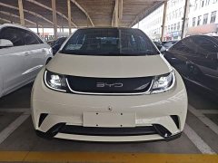 BYD Dolphin 420km Freedom Edition - ფოტო 3