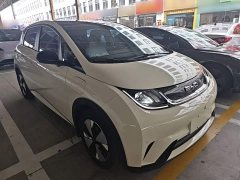 BYD Dolphin 420km Freedom Edition - ფოტო 4