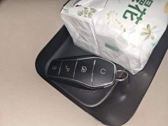 BYD Dolphin 420km Freedom Edition - ფოტო 9