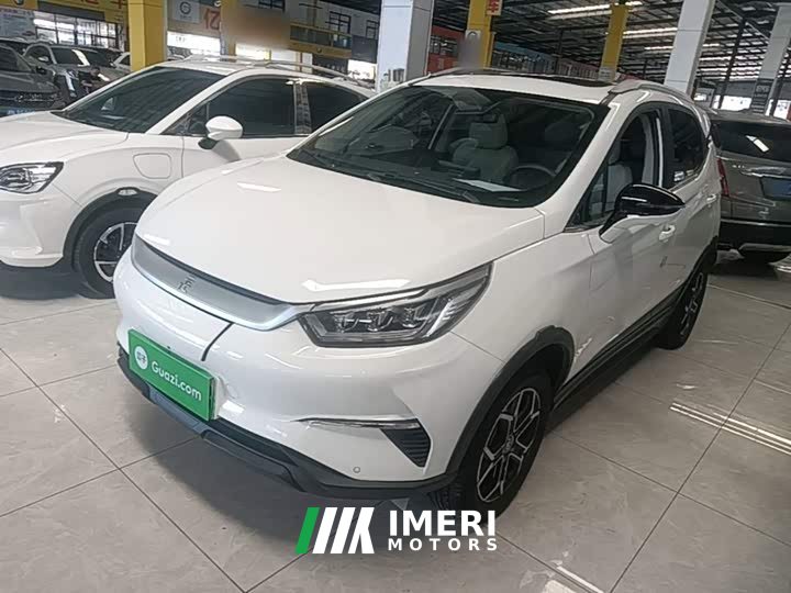 BYD Yuan Pro Lifetime Edition