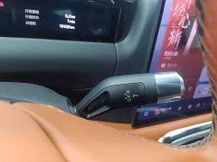Geely Galaxy M9 210km AWD Navigator Edition - ფოტო 14