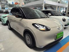 Wuling Binguo 2023 333km Lingxi Connected Plus - ფოტო 4