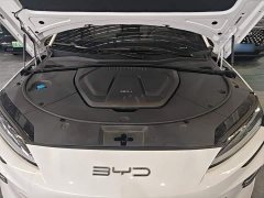 BYD Song Plus New Energy Champion Edition DM-i 110KM Flagship Plus - ფოტო 20