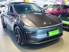 Tesla Model Y Rear-Wheel Drive - ფოტო 4